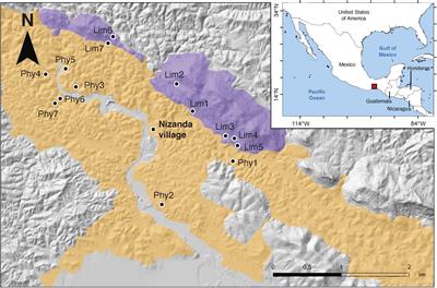 Lithological substrates influence tropical dry forest structure, diversity, and composition, but not its dynamics